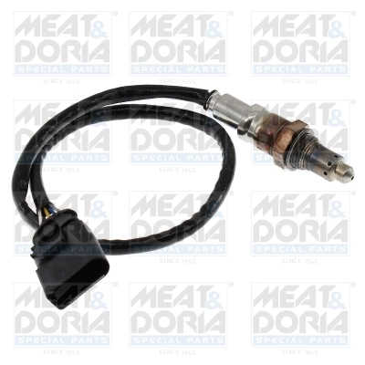 Oxygen Sensor